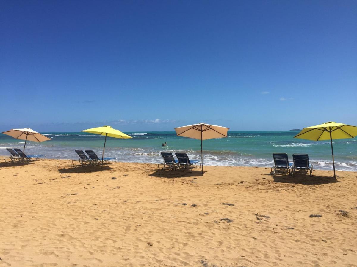 Blue Leaf By The Sea Apartment Luquillo Bagian luar foto