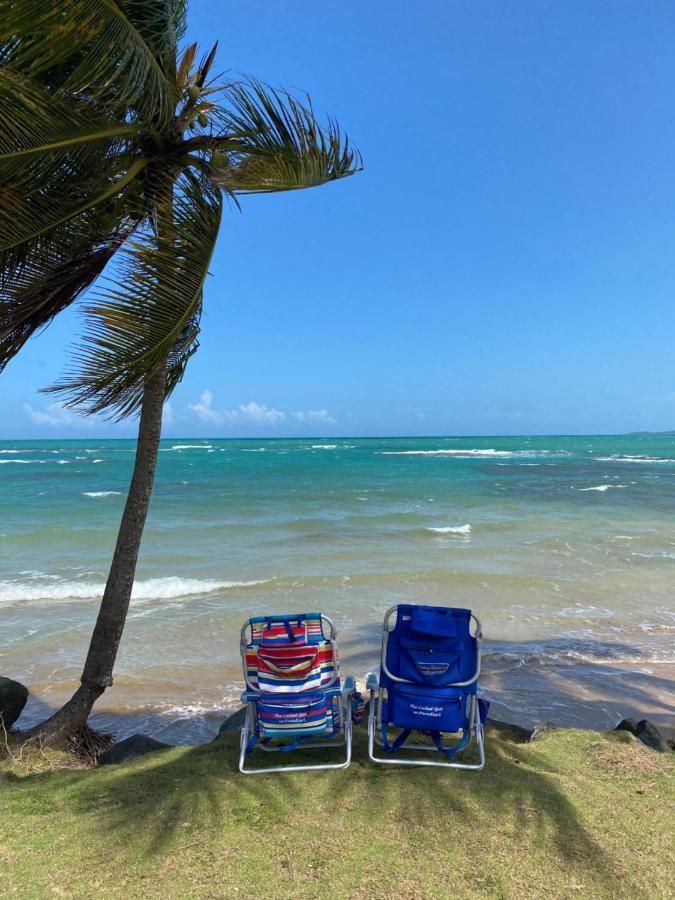 Blue Leaf By The Sea Apartment Luquillo Bagian luar foto