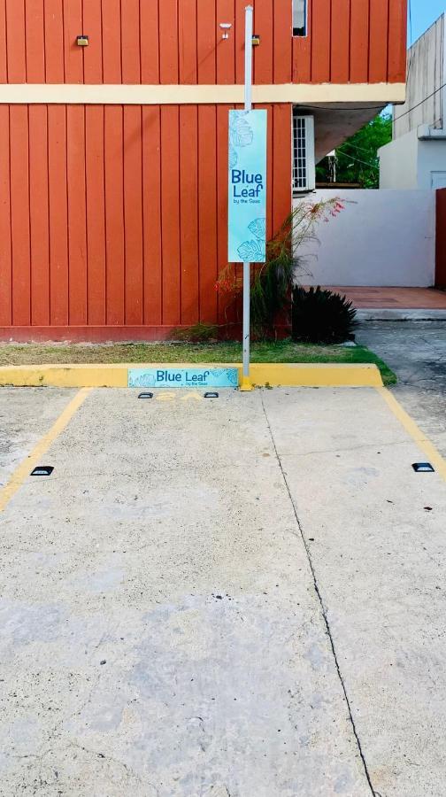 Blue Leaf By The Sea Apartment Luquillo Bagian luar foto